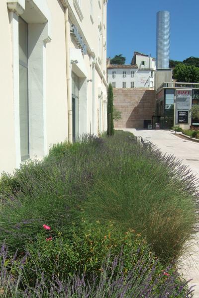 2011-05- (1837).JPG